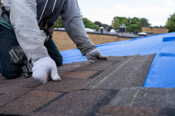 Professional Roofing Contractor in Tiptonville, TN