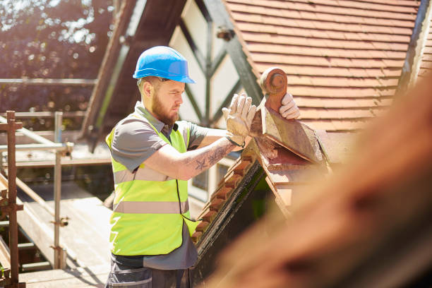 Best Roof Gutter Cleaning  in Tiptonville, TN